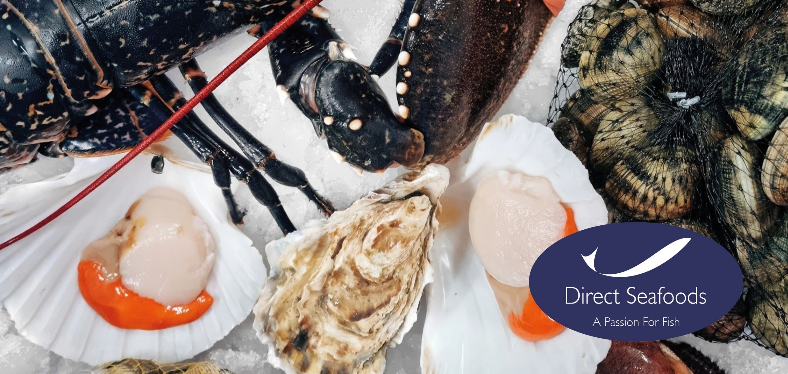 Sustainable seafood supplier; Direct Seafoods